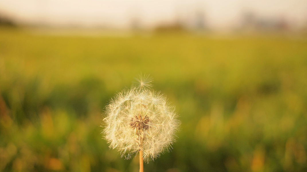 「死裡復活，奇妙的救恩」 訪 郭瑞珍姐妹（1）