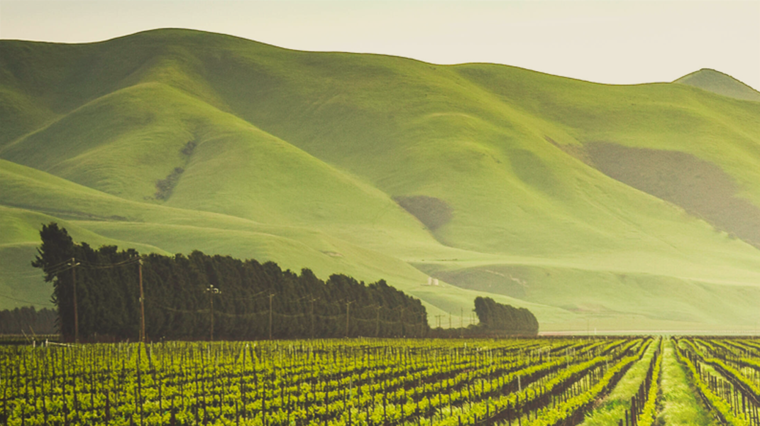 主召我得救恩 桃園教會王素合姊妹