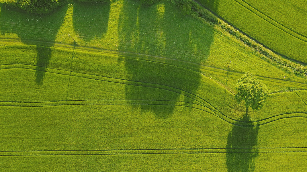 淋巴癌恐慌症得醫治 桃園教會王筑靜姊妹