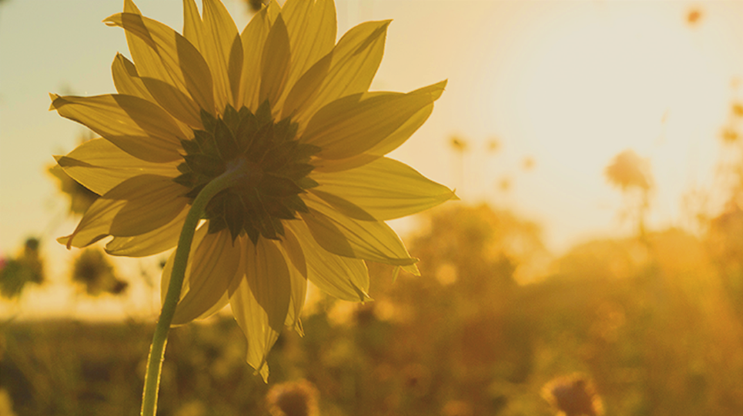 主耶穌是我恩友(上) 桃園教會厲建國弟兄