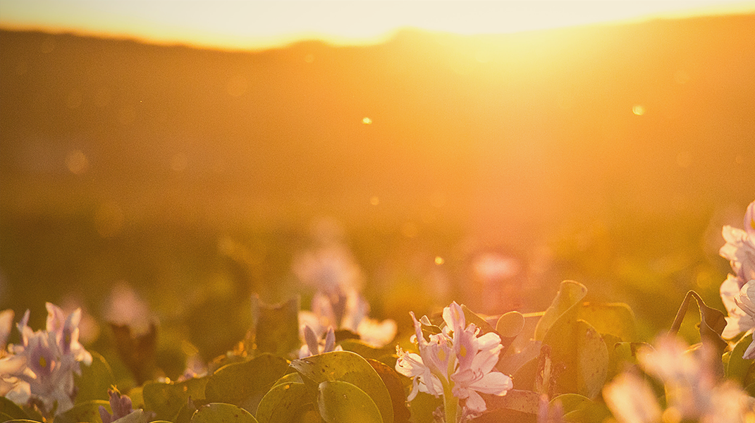 「撥雲見日的人生」 訪 羅美慧姐妹