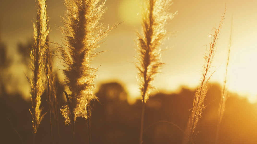 危機也是轉機 五甲教會方建堂弟兄