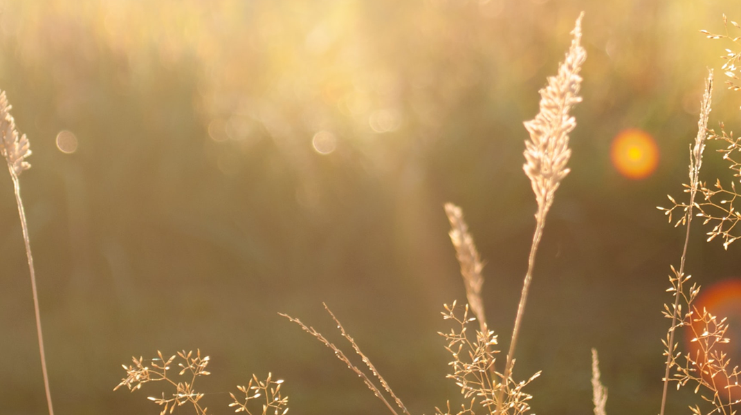 平靜安穩靠主抗癌 南門教會林殷勤姊妹