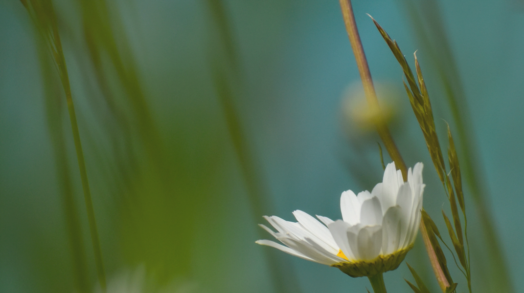 願真神榮耀向子孫顯明 南門教會劉育聖弟兄