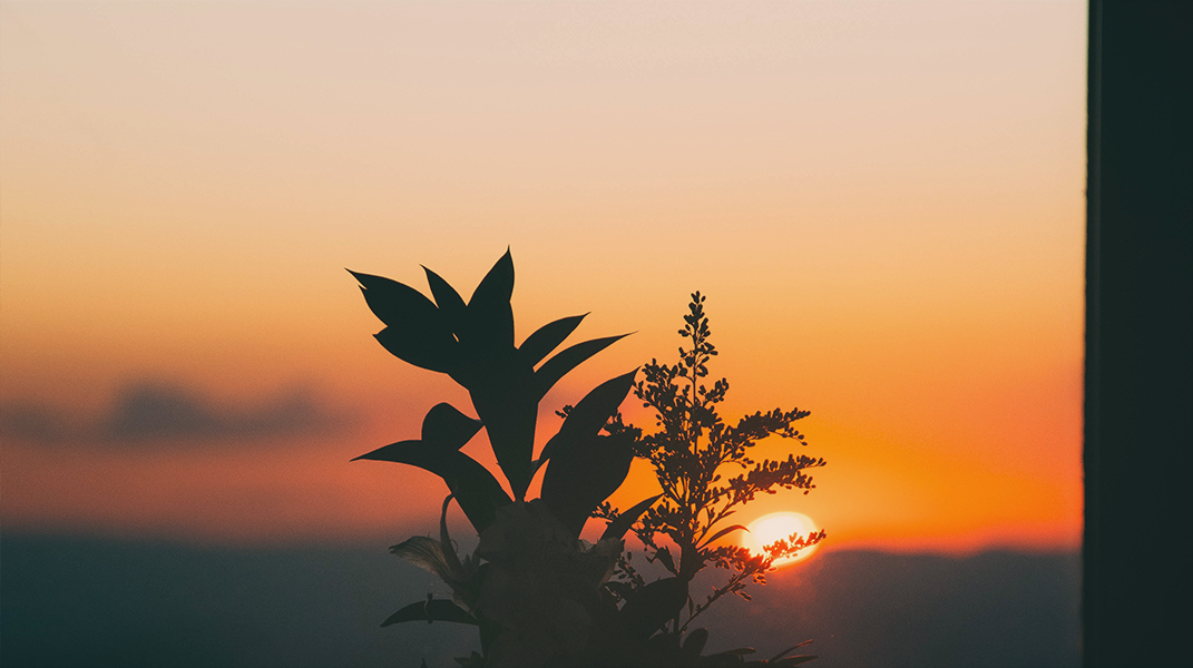 經歷屬靈界的體驗 南門教會許錫安弟兄