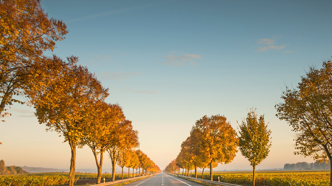 漫長的歸真之路 西門教會蕭聰男弟兄