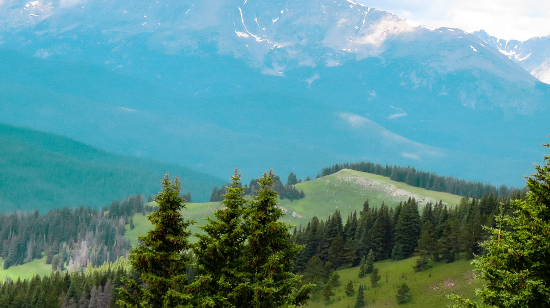 主是我的良友 西門教會胡志明弟兄