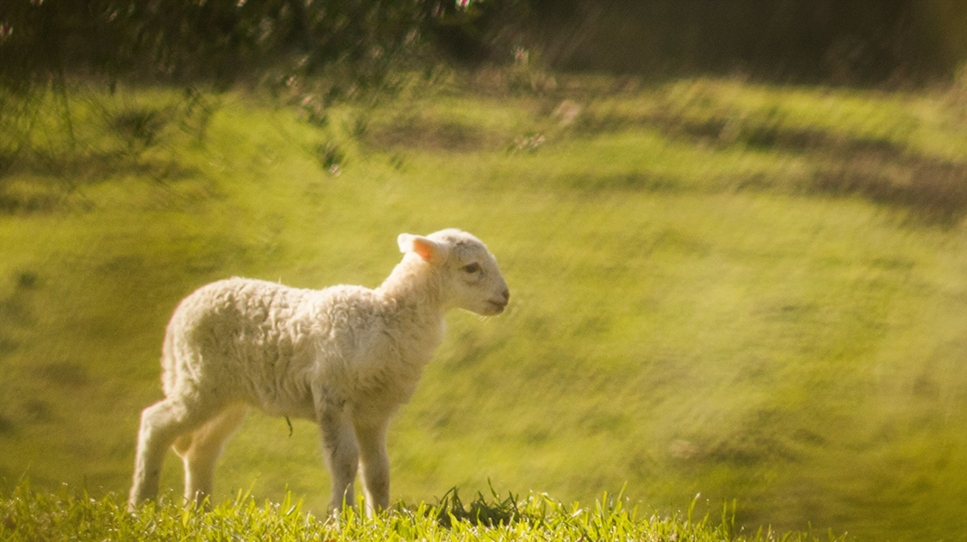 浪子回頭(上) 訪潮州教會蘇姵蓁姊妹