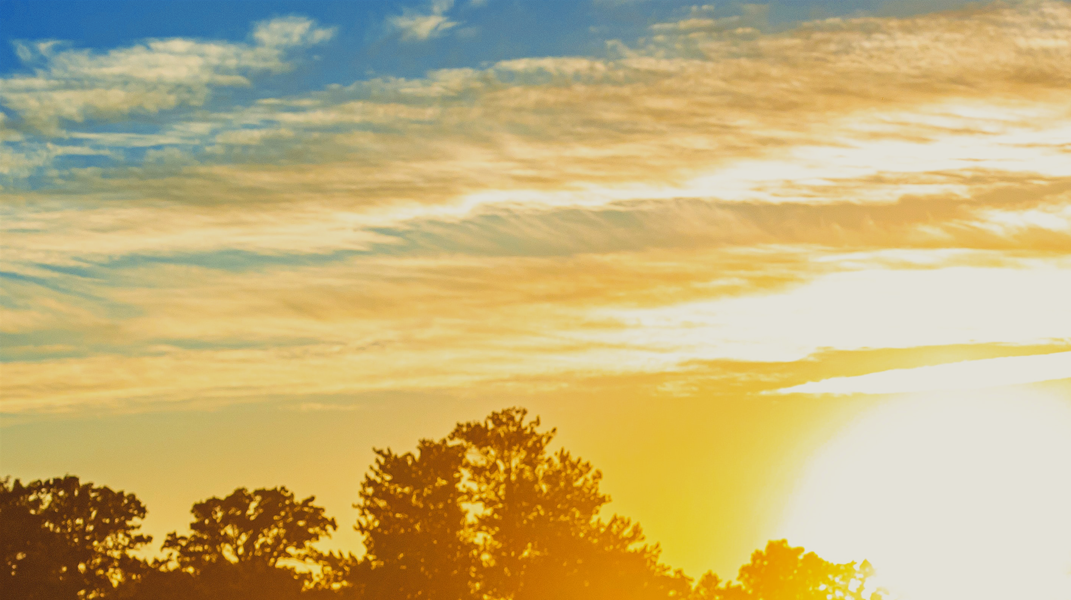 主愛長存(上) 訪員林教會曹素惠姊妹