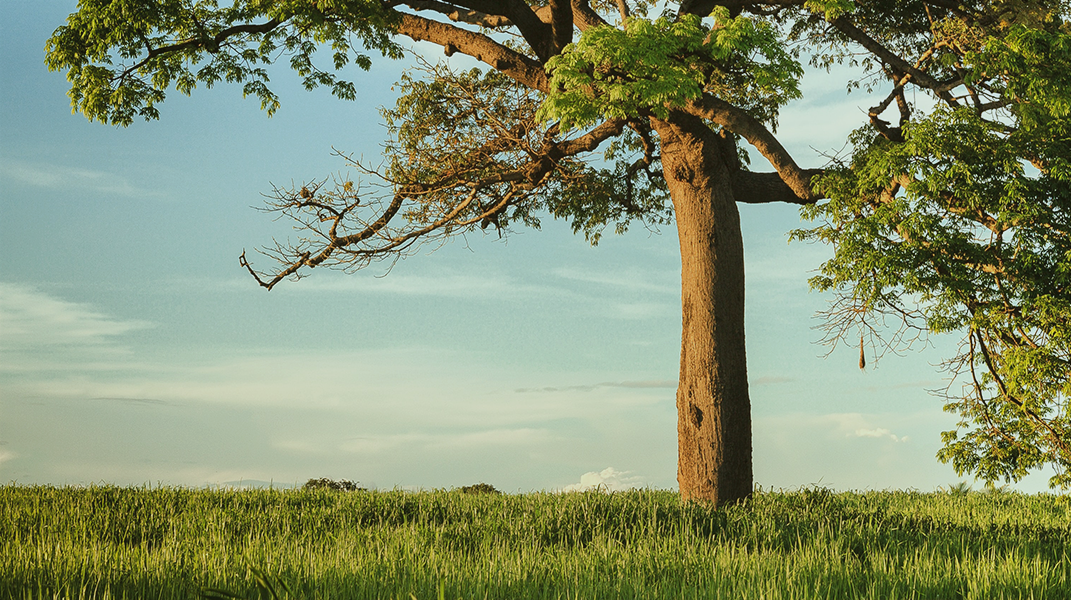投靠主蔭庇之下享平安 西門教會鄭榮貴弟兄