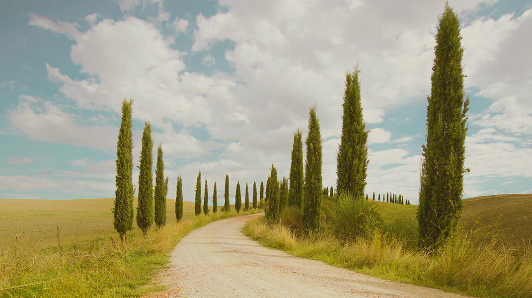 奇妙的歸真之路(二) 北台中教會林雅欣姊妹