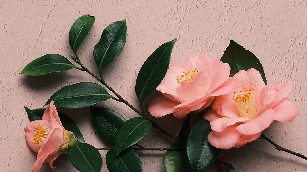 過往救恩在眼前 西門教會何恭宏弟兄陳秀球姊妹夫婦