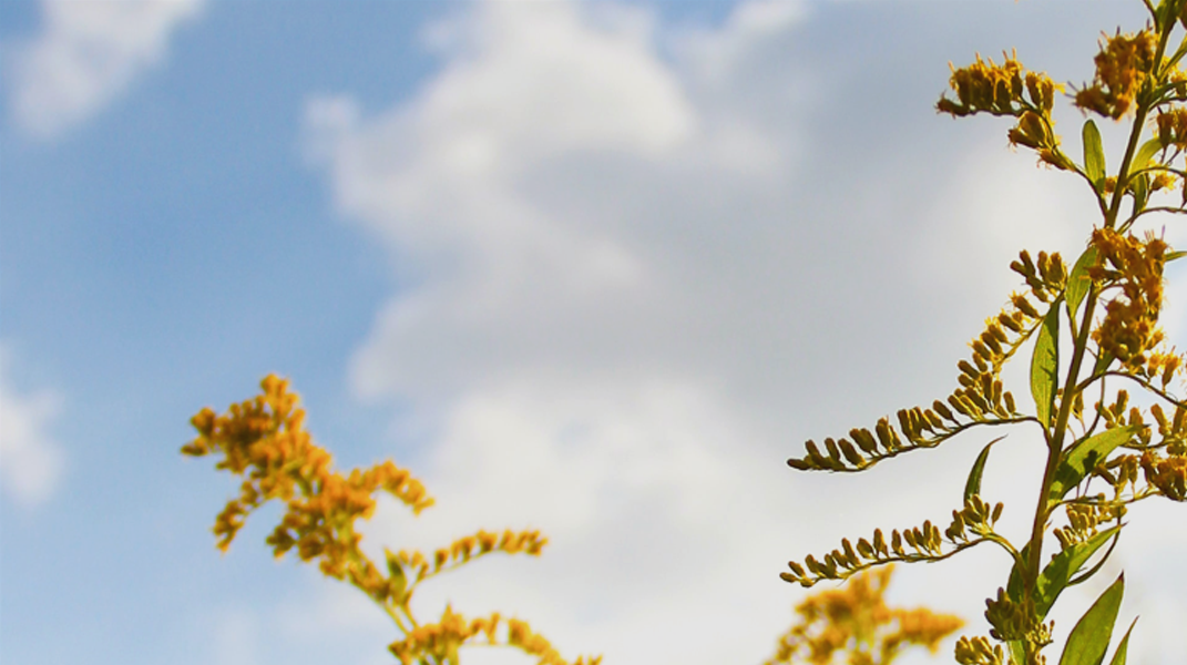 主仍然看顧我 西門教會邱杏娟姊妹