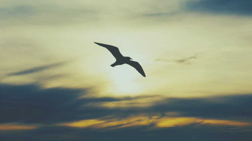 雖有艱難仍能平安 和美教會汪倩韻姊妹