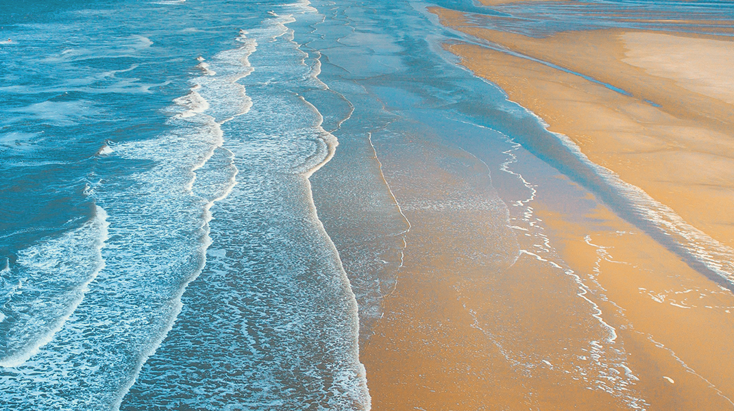 明白真理而歸真 和美教會廖珮妏姊妹