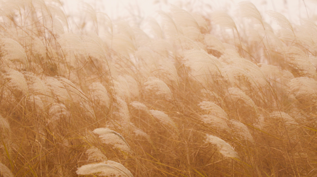 主幫助我 生命充滿驚奇(下) 訪開元教會楊榮福 馮琇慧夫婦