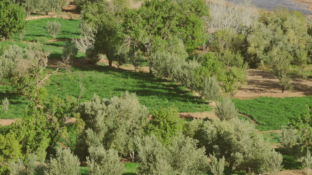 福音小舖：正確的選擇 得救的信仰