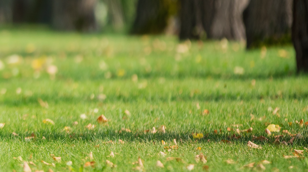 「耶穌是賜平安的神」 訪 何美珍姐妹&謝心柔姐妹