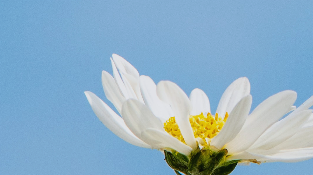 神奇妙的作為(一) 訪基督城教會王桂香姊妹