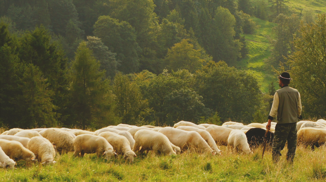 飽嚐主恩的滋味(一) 訪 二重教會 陳聖義 執事