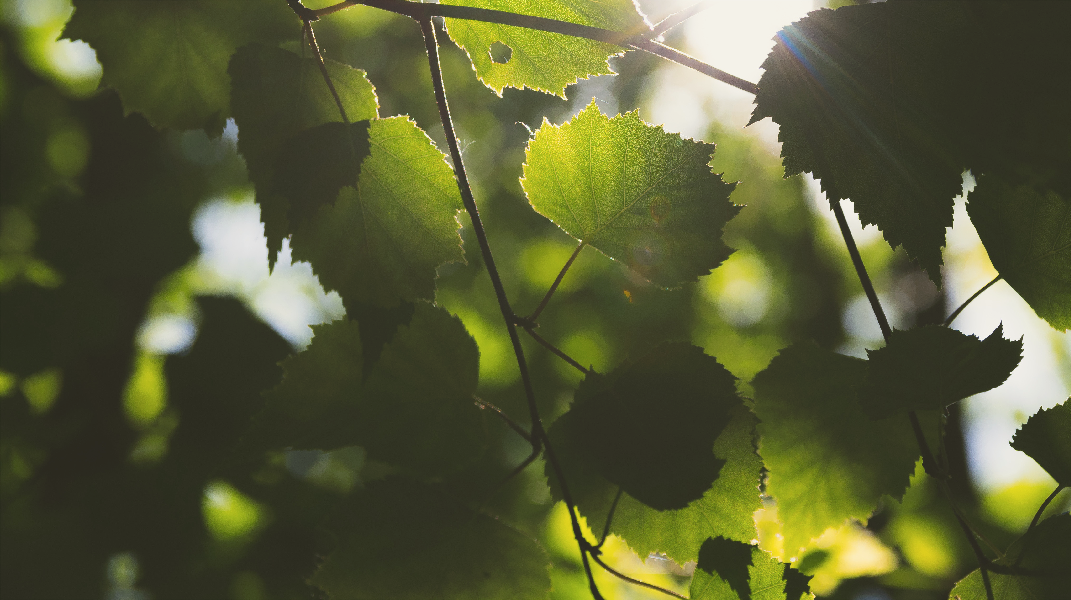 「患難中的恩典」 訪 郭瑞珍姐妹（2）