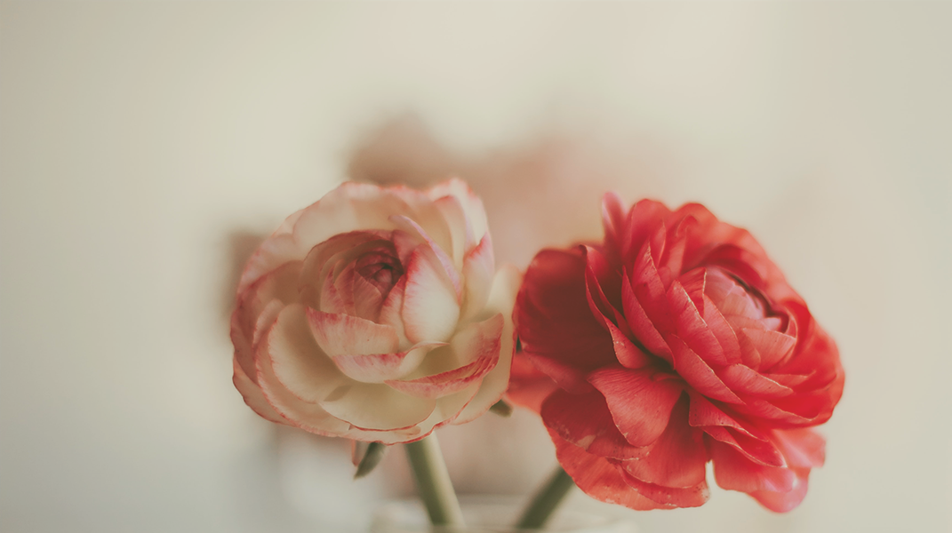 從絕望到希望 麻豆教會廖世玉姊妹