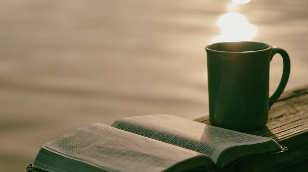 救我們脫離兇惡