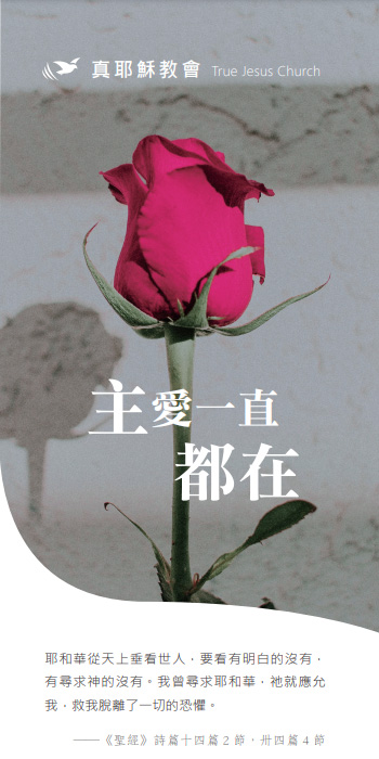 主愛一直都在